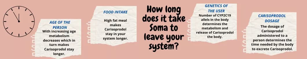 Factors-That-Affect-How-Long-Soma-Stays-In-Your-System