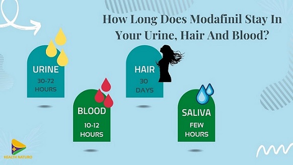 how-long-does-modafinil-stay-in-your-urine-hair-and-blood