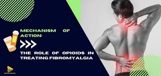 Mechanism-of-action-The-role-of-opioids-in-treating-fibromyalgia