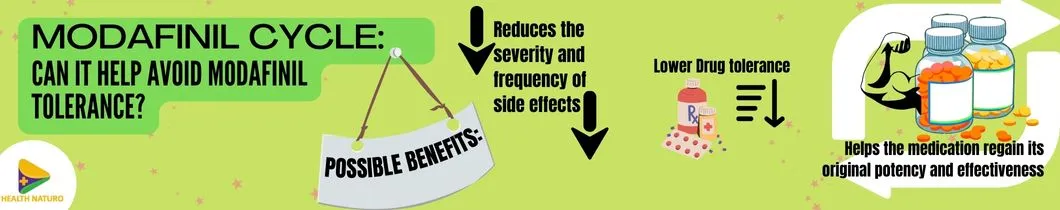 modafinil-cycle
