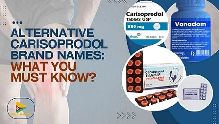 Alternative Carisoprodol Brand Names: What You Must Know?