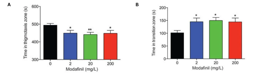 behavior-in-zebrafish