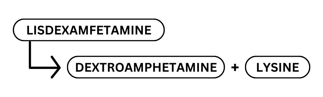 vyvanse-metabolism