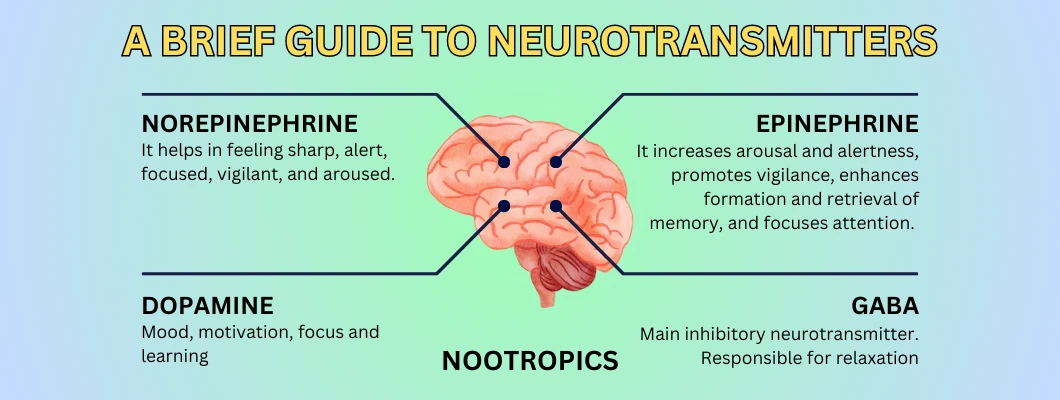 how-do-nootropics-for-adhd-help