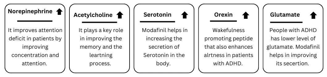 modafinil-action-for-adhd