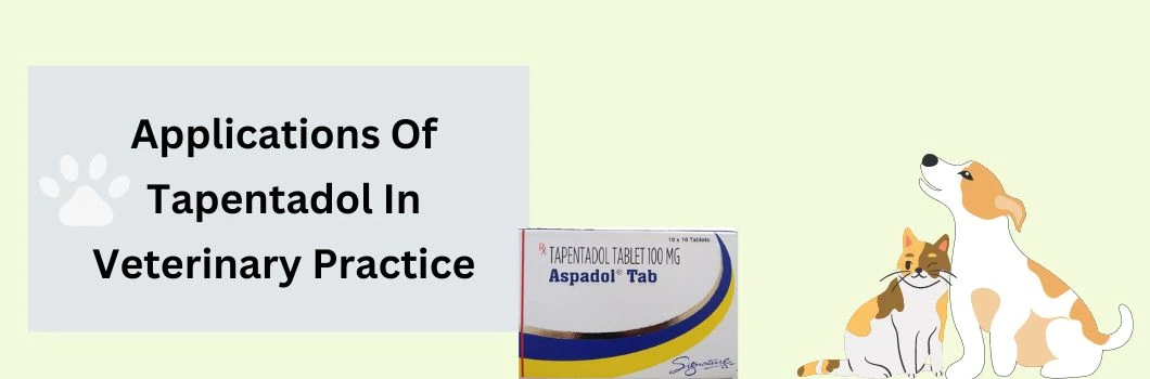 applications-of-tapentadol-in-veterinary-practice