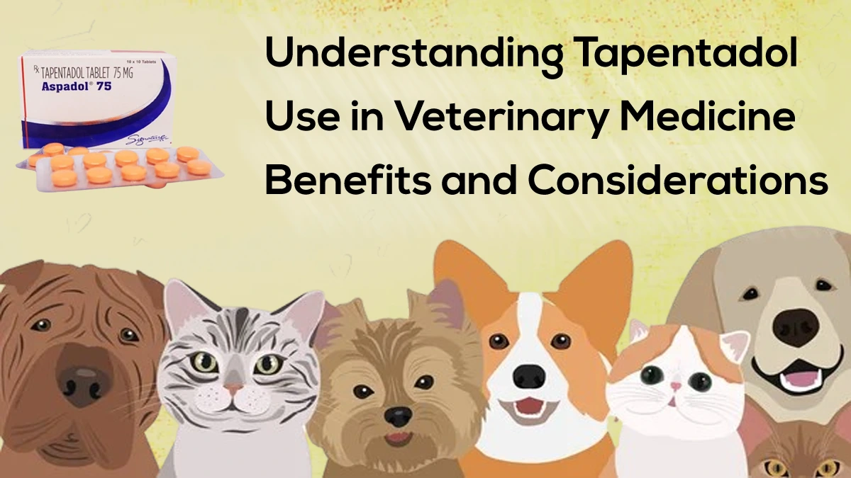 Understanding Tapentadol Use in Veterinary Medicine: Benefits and Considerations