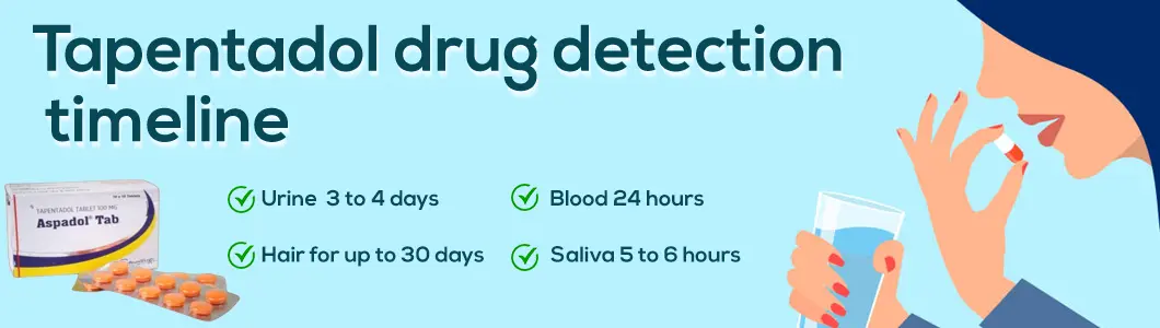 tapentadol-drug-detection-timeline