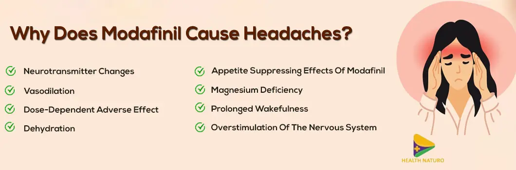 why-modafinil-causes-headaches