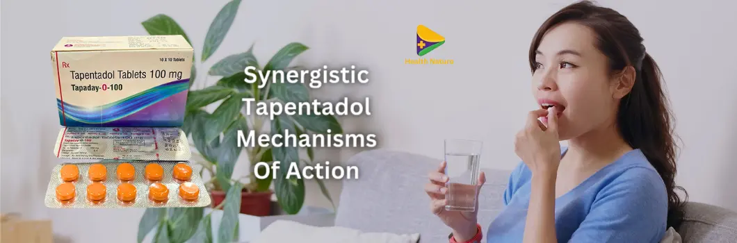 Synergistic Tapentadol Mechanisms Of Action