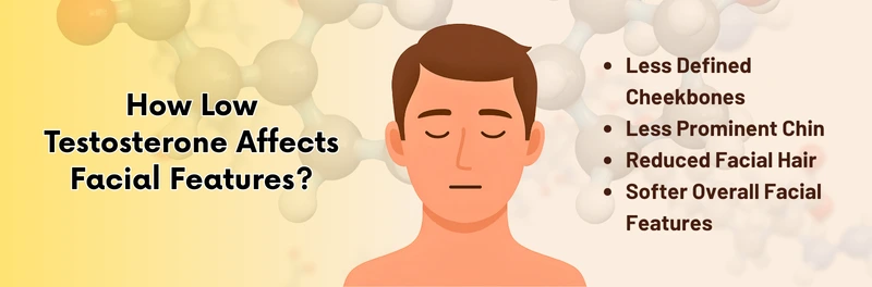 how-low-testosterone-affects-facial-features