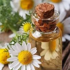 Chamomile Oil